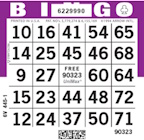 024907_main-1